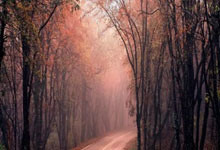 武汉桑拿真实体验:从职业倦怠到身心焕新,李强的减压启示录